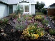 Landscape Maintenance and Yard Cleanup